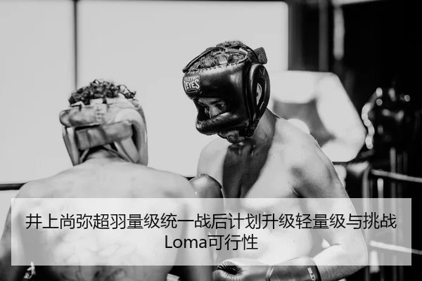 jing-shang-shang-mi-chao-yu-liang-ji-tong-yi-zhan-hou-ji-hua-sheng-ji-qing-liang-ji-yu-tiao-zhan-ke-xing-xing-3-246.jpg