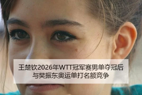 王楚钦2026年WTT冠军赛男单夺冠后与樊振东奥运单打名额竞争
